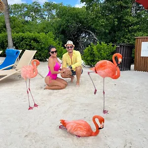 punta-cana-bavaro-suites-pool-beach.comcaribbean.com/